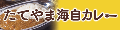 たてやま海自カレー